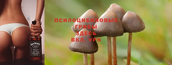 прущая мука Семилуки