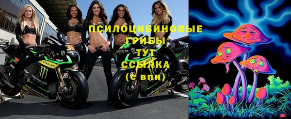 гашик Верхний Тагил