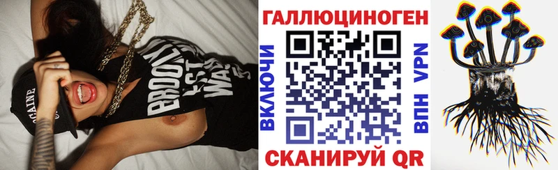купить наркоту  Семёнов  Псилоцибиновые грибы GOLDEN TEACHER 